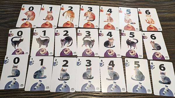 與貓的距離 Between Us 繁體中文版 開箱及規則介紹