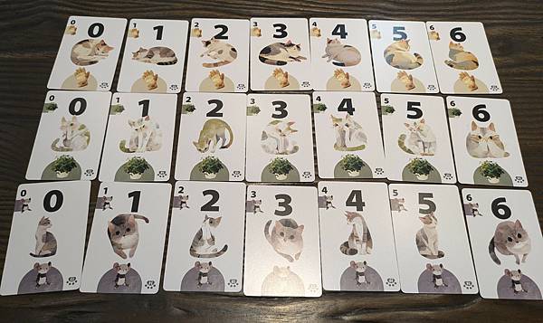 與貓的距離 Between Us 繁體中文版 開箱及規則介紹