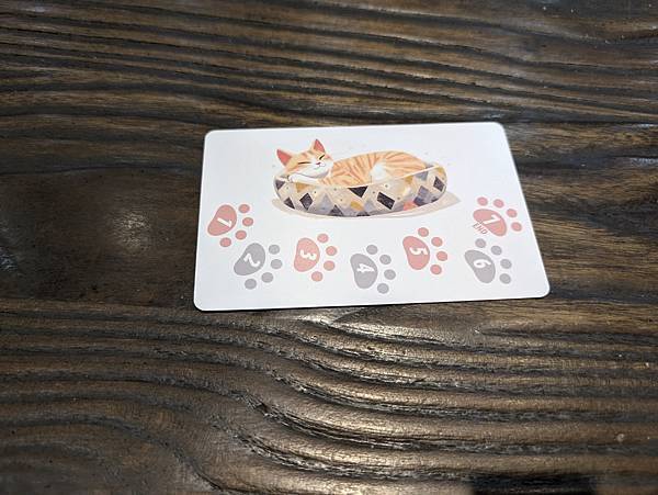 與貓的距離 Between Us 繁體中文版 開箱及規則介紹