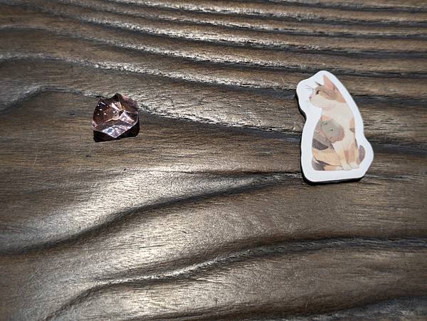 與貓的距離 Between Us 繁體中文版 開箱及規則介紹