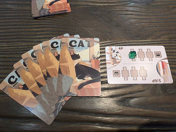 與貓的距離 Between Us 繁體中文版 開箱及規則介紹