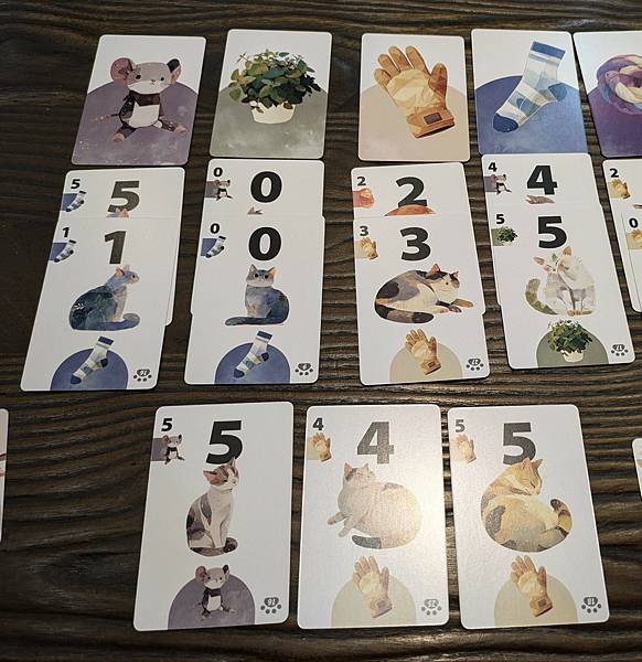 與貓的距離 Between Us 繁體中文版 開箱及規則介紹