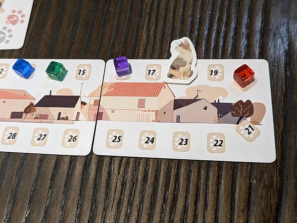 與貓的距離 Between Us 繁體中文版 開箱及規則介紹