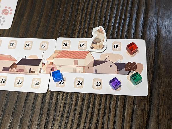 與貓的距離 Between Us 繁體中文版 開箱及規則介紹