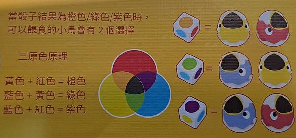 筷喂小鳥 Feed Us 繁體中文版  開箱及規則介紹 by