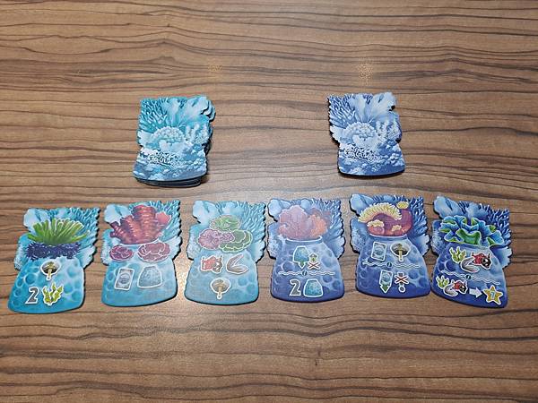 珊瑚計劃 REEF PROJECT 繁體中文版 開箱及規則介 珊瑚計劃 REEF PROJECT 繁體中文版 開箱及規則介