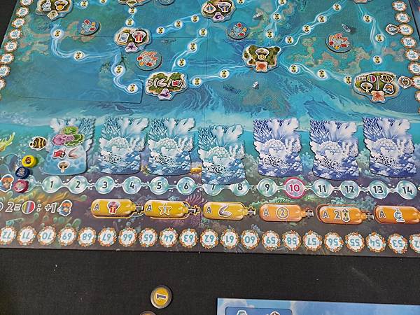 珊瑚計劃 REEF PROJECT 繁體中文版 開箱及規則介 珊瑚計劃 REEF PROJECT 繁體中文版 開箱及規則介