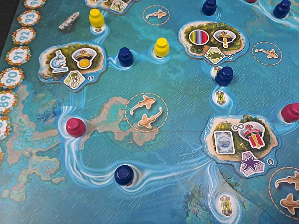 珊瑚計劃 REEF PROJECT 繁體中文版 開箱及規則介 珊瑚計劃 REEF PROJECT 繁體中文版 開箱及規則介