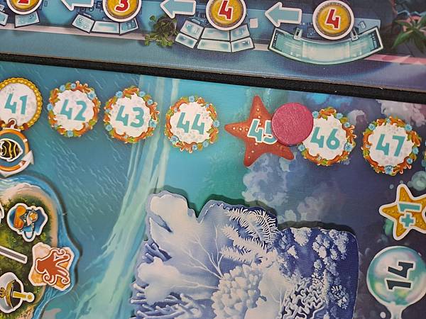 珊瑚計劃 REEF PROJECT 繁體中文版 開箱及規則介 珊瑚計劃 REEF PROJECT 繁體中文版 開箱及規則介