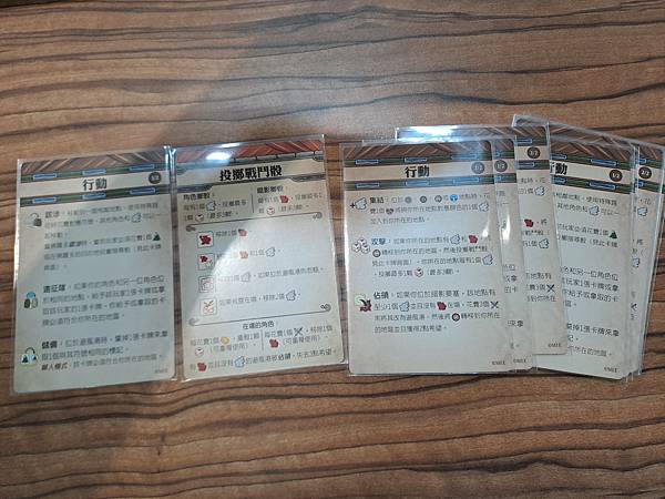 瘟疫危機 魔戒 遠征隊的宿命 Pandemic The Lo