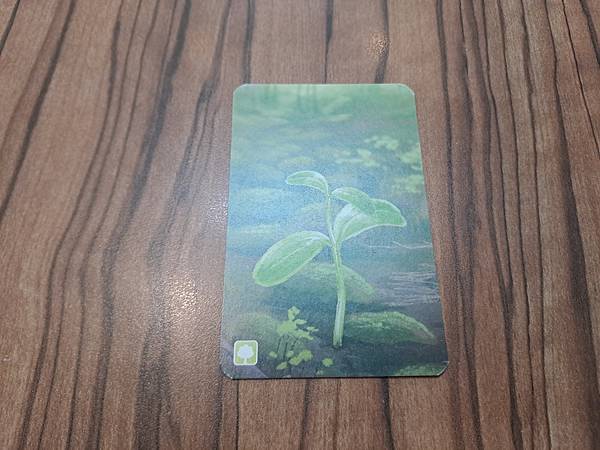 森森不息 Forest Shuffle 繁體中文版 開箱及規 森森不息 Forest Shuffle 繁體中文版 開箱及規