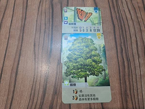 森森不息 Forest Shuffle 繁體中文版 開箱及規 森森不息 Forest Shuffle 繁體中文版 開箱及規