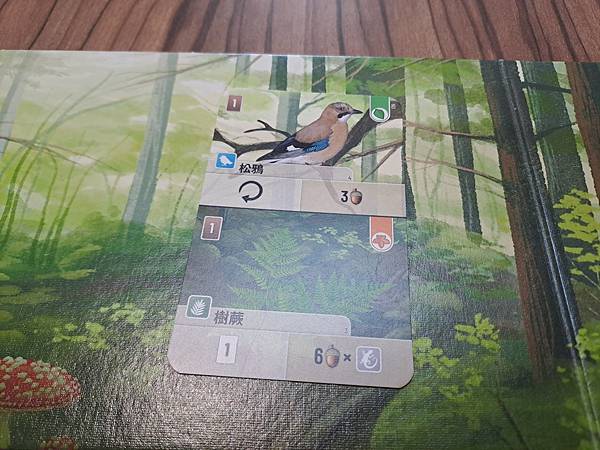 森森不息 Forest Shuffle 繁體中文版 開箱及規 森森不息 Forest Shuffle 繁體中文版 開箱及規