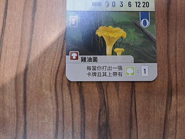 森森不息 Forest Shuffle 繁體中文版 開箱及規 森森不息 Forest Shuffle 繁體中文版 開箱及規