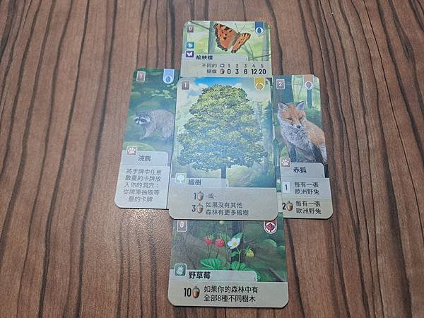 森森不息 Forest Shuffle 繁體中文版 開箱及規 森森不息 Forest Shuffle 繁體中文版 開箱及規