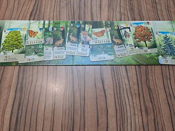 森森不息 Forest Shuffle 繁體中文版 開箱及規 森森不息 Forest Shuffle 繁體中文版 開箱及規