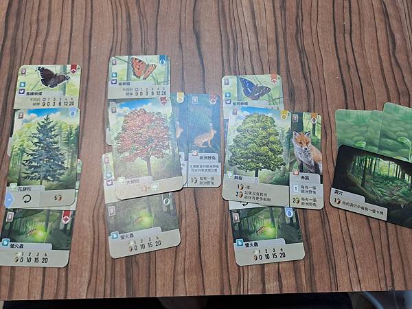 森森不息 Forest Shuffle 繁體中文版 開箱及規 森森不息 Forest Shuffle 繁體中文版 開箱及規