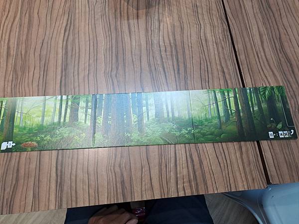 森森不息 Forest Shuffle 繁體中文版 開箱及規 森森不息 Forest Shuffle 繁體中文版 開箱及規