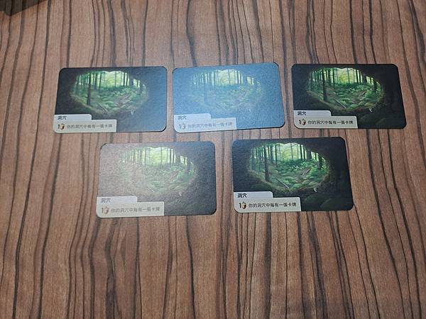 森森不息 Forest Shuffle 繁體中文版 開箱及規 森森不息 Forest Shuffle 繁體中文版 開箱及規