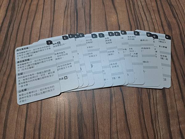 森森不息 Forest Shuffle 繁體中文版 開箱及規 森森不息 Forest Shuffle 繁體中文版 開箱及規