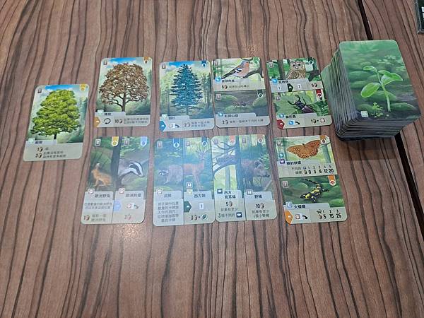 森森不息 Forest Shuffle 繁體中文版 開箱及規 森森不息 Forest Shuffle 繁體中文版 開箱及規