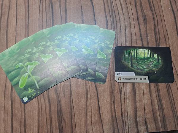 森森不息 Forest Shuffle 繁體中文版 開箱及規 森森不息 Forest Shuffle 繁體中文版 開箱及規