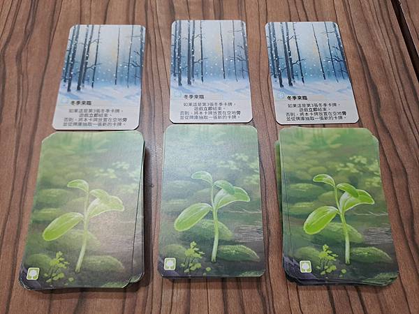 森森不息 Forest Shuffle 繁體中文版 開箱及規 森森不息 Forest Shuffle 繁體中文版 開箱及規