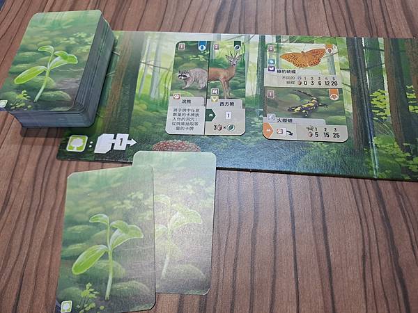 森森不息 Forest Shuffle 繁體中文版 開箱及規 森森不息 Forest Shuffle 繁體中文版 開箱及規