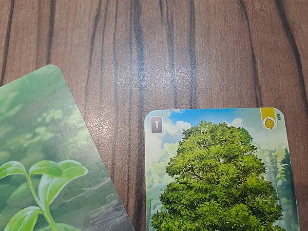 森森不息 Forest Shuffle 繁體中文版 開箱及規 森森不息 Forest Shuffle 繁體中文版 開箱及規