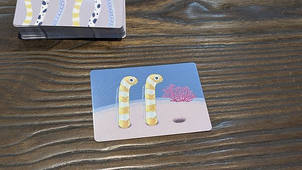 音韻圓鰻 繁體中文版 繁體中文版 開箱及規則介紹 by 高雄