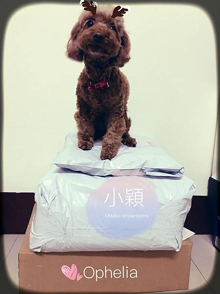 image.jpeg image.jpeg