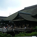 71551.JPG