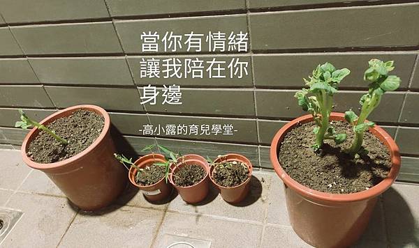 226397439_991690251596900_7891649533445931914_n