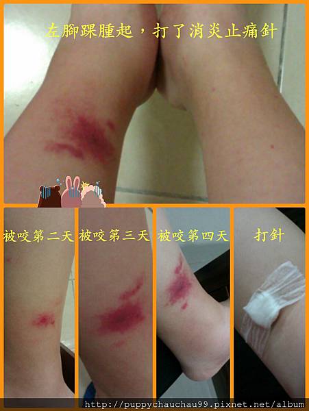 小金剛的傑作.jpg