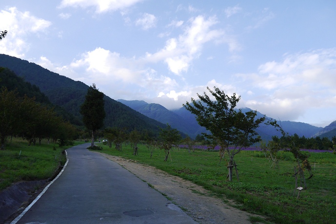 P1000575.jpg P1000575.jpg