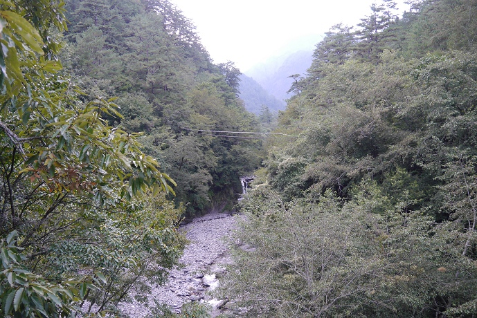 P1000654.jpg P1000654.jpg