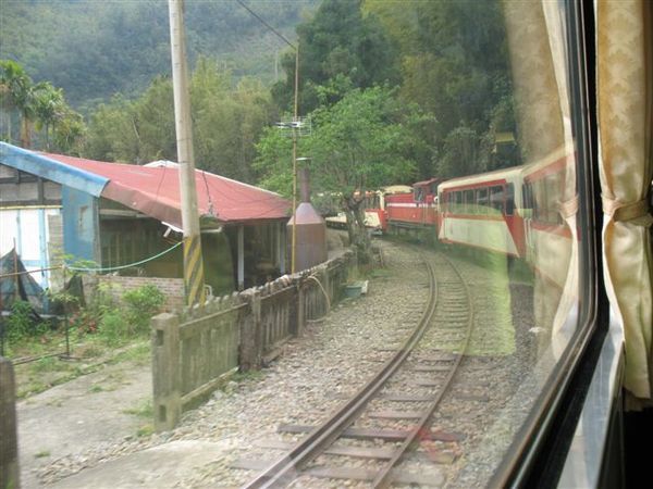 前往阿里山中..小火車上拍小火車...photo by Pei