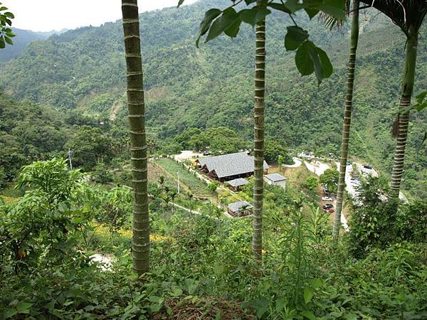 從山上拍沐心泉屋舍全景