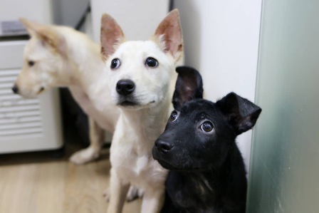 IMG_2939.JPG IMG_2939.JPG