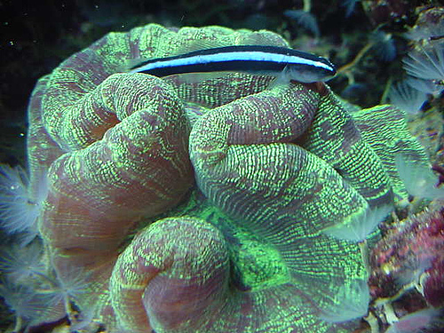 2162392100_5b34956c00.jpg