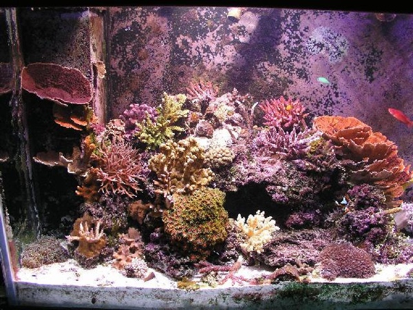 leftside[1].jpg
