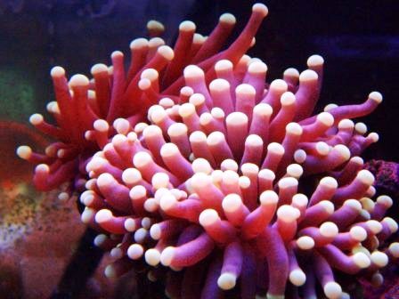 P6290375[1].jpg
