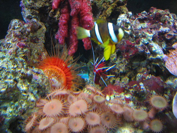 pic2[1].jpg