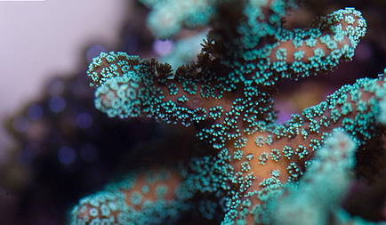 526218205_52c109642d[1].jpg