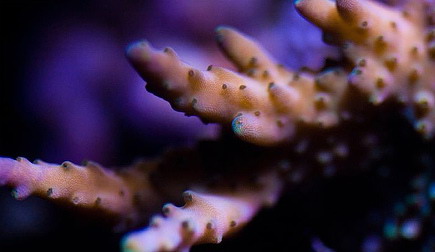 543866276_67783c2f48[1].jpg