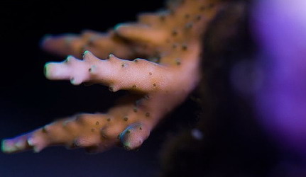 543964573_07df349225[1].jpg