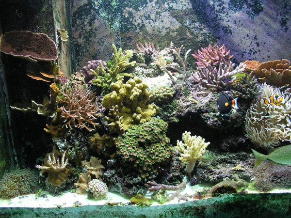 p1010009[1].jpg
