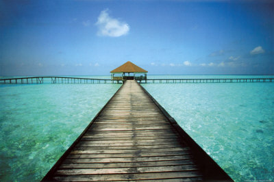 42-17233499P_36_24~Jetty-Maldives-Posters.jpg