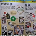 展覽-鬼太郎4.jpg