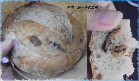 0台中沙鹿-吉森艾妮3.jpg 0台中沙鹿-吉森艾妮3.jpg
